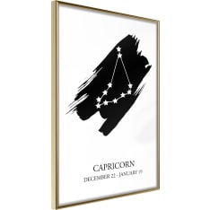 Artgeist Zodiac: Capricorn I juliste