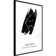 Artgeist Zodiac: Aquarius I juliste