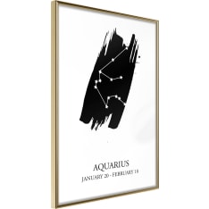 Artgeist Zodiac: Aquarius I juliste