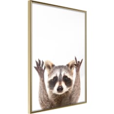 Poster - Funny Racoon