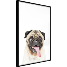 Artgeist Funny Pug juliste