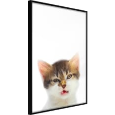 Artgeist Funny Kitten juliste