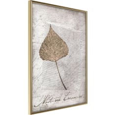 Poster - Dried Leaf