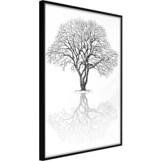 Artgeist Roots Or Treetop? juliste