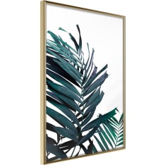 Artgeist Evergreen Palm Leaves juliste