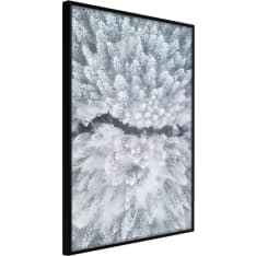 Artgeist Winter Forest From a Bird's Eye View juliste