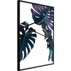 Artgeist Evergreen Monstera juliste