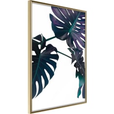 Poster - Evergreen Monstera