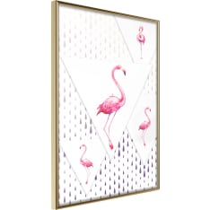 Poster - Flamingos and Triangles