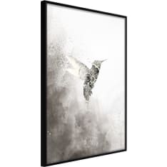 Poster - Hummingbird in Shades of Grey