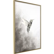 Poster - Hummingbird in Shades of Grey