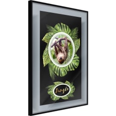 Poster - Greetings from the Jungle