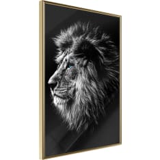 Poster - Old King