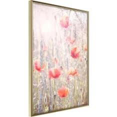 Poster - Poppies