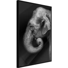 Artgeist Wisdom juliste