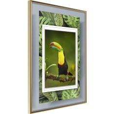 Artgeist Toucan In The Frame juliste