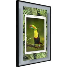 Poster - Toucan in the Frame