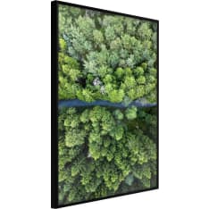 Artgeist Forest From A Bird's Eye View juliste