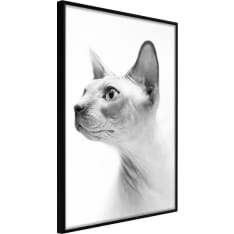 Artgeist Sphinx juliste