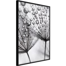 Poster - Dew in the Macro Scale