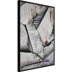 Poster - Touch of Colour