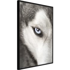Poster - Azure Eye