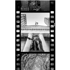Artgeist Ny - Diversity (Collage) fototapetti