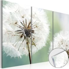 Artgeist Fluffy Dandelions  akryylilasitaulusetti