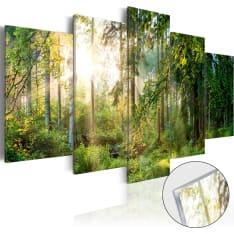 Acrylic Print - Green Sanctuary [Glass]