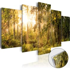 Acrylic Print - Magic of Forest [Glass]