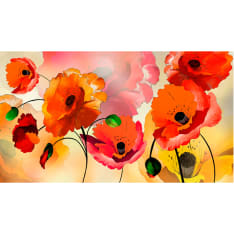 Artgeist Velvet poppies fototapetti XXL