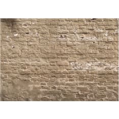 Artgeist Urban Oasis fototapetti