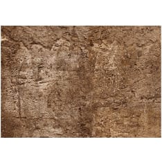 Artgeist Cave of Time fototapetti