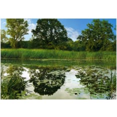 Artgeist The Magic Pond fototapetti