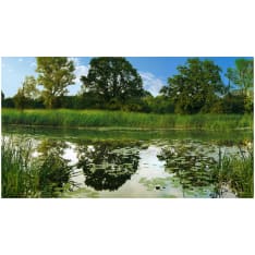 Artgeist The Magic Pond II fototapetti XXL