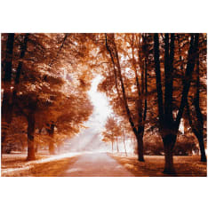 Artgeist Autumn Park fototapetti