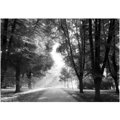 Artgeist Path of Memories fototapetti