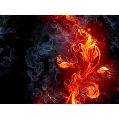 Artgeist Fiery kukka fototapetti