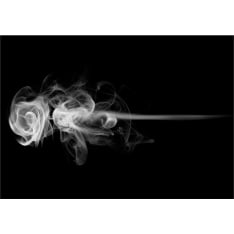 Artgeist rose (smoke) fototapetti
