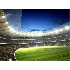 Artgeist National stadium fototapetti