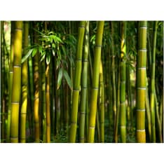 Artgeist Asian Bamboo Forest fototapetti