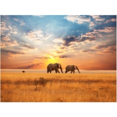 Artgeist Afrikkalainen savanni norsuja fototapetti
