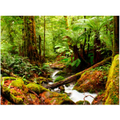 Artgeist Rainforest fototapetti