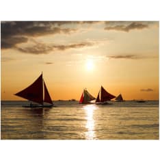 Artgeist sailing boats - sunset fototapetti
