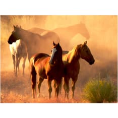 Artgeist Wild hevoset steppe fototapetti