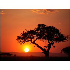 Artgeist Afrikka: auringonlaskusta fototapetti