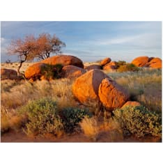 Artgeist Afrikkalainen maisema, Namibia fototapetti