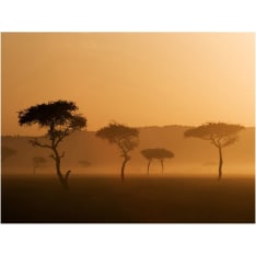 Artgeist Massai Mara fototapetti