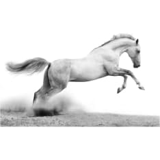 Artgeist White gallop fototapetti