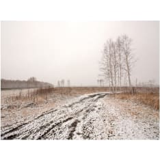 Artgeist Winter field fototapetti